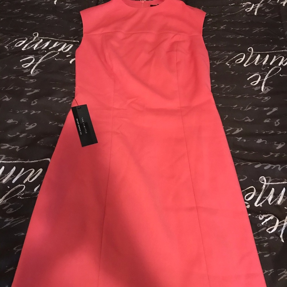 New dress by The Limited